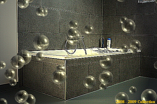 2008 - 2009 Collection